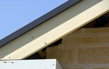 Sadberge fascia repairs