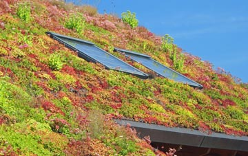 Sadberge living roof systems
